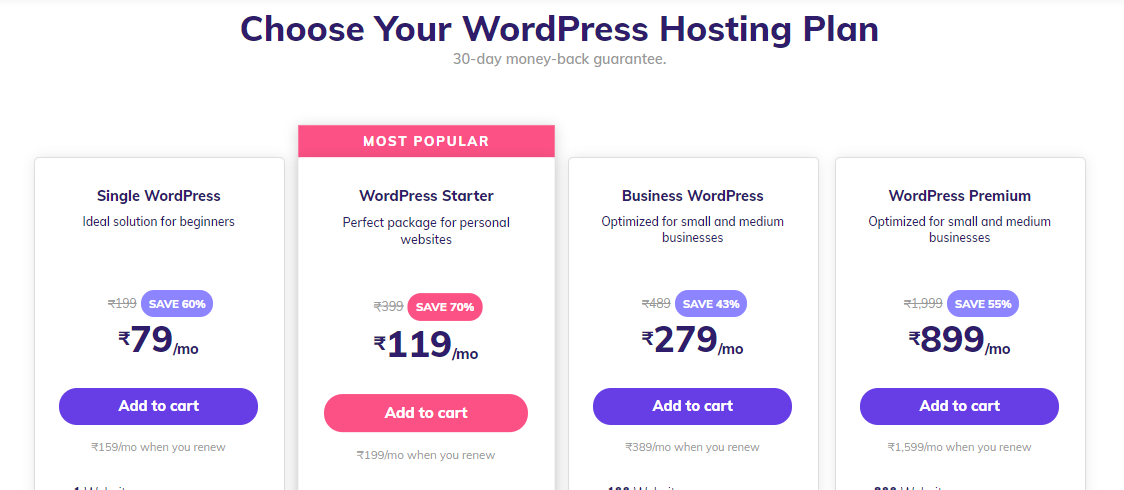 wordpress hosting website